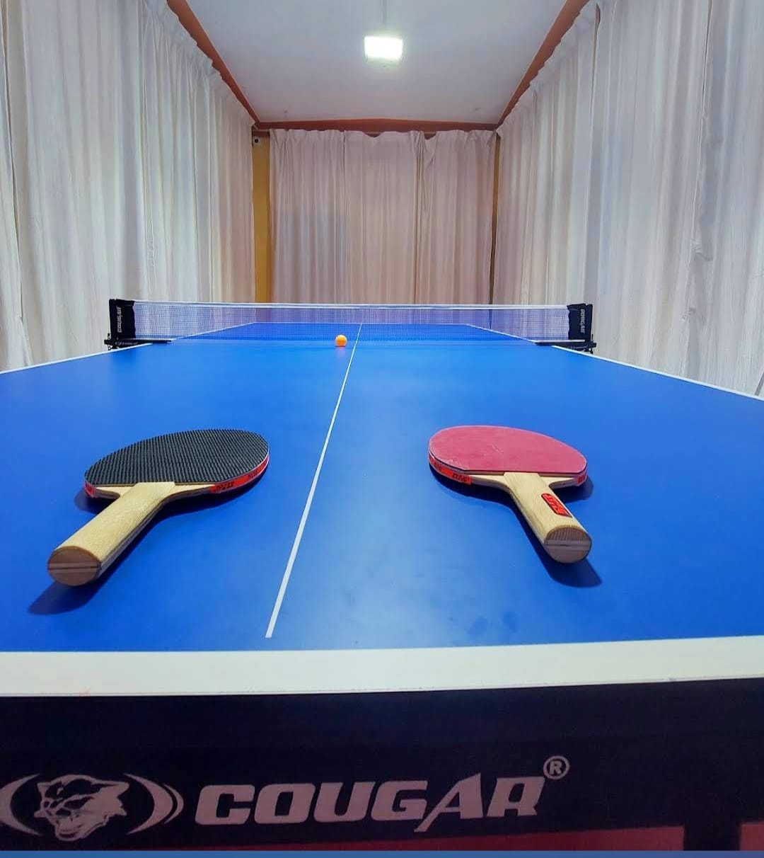Colors Table Tennis