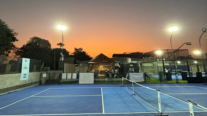 Dink Pickleball