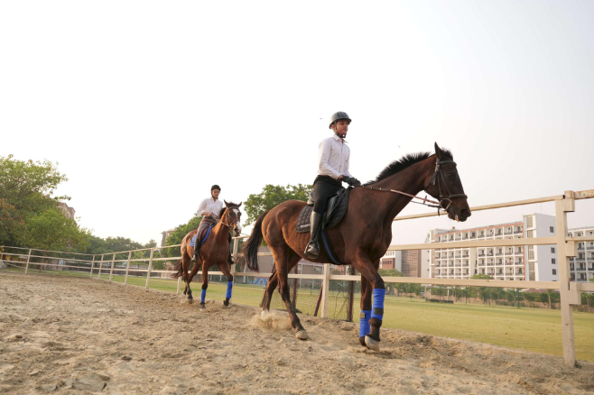 Gurukul Horse Riding Club
