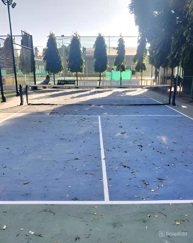 Project Play Pickleball Chandigarh