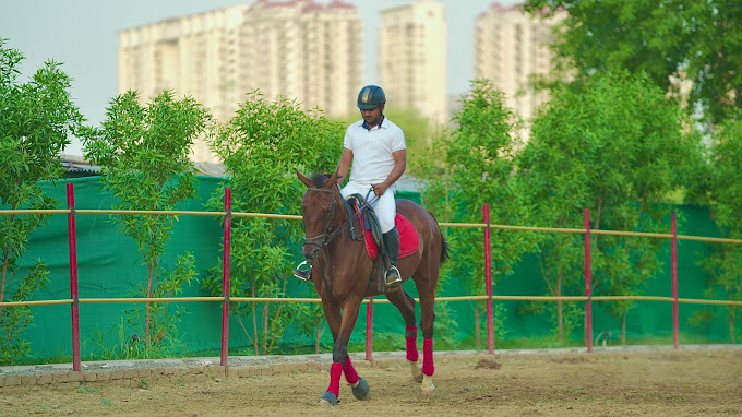 Sky Horse Riding Club & Cafe NOIDA