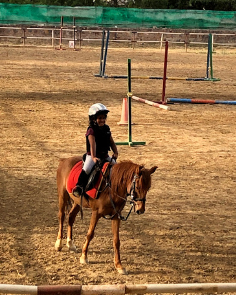 Adagio Riding Stables