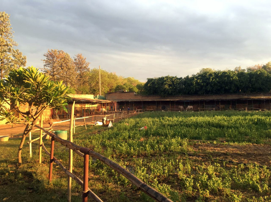 Adagio Riding Stables