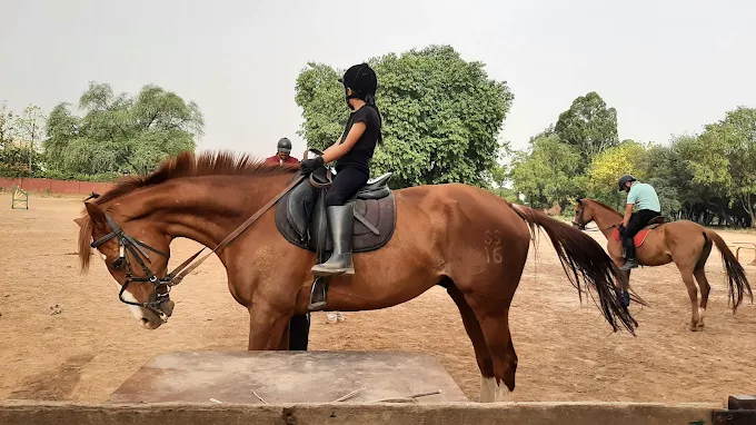 Chandigarh Horse Riders Society (CHRS) Mohali