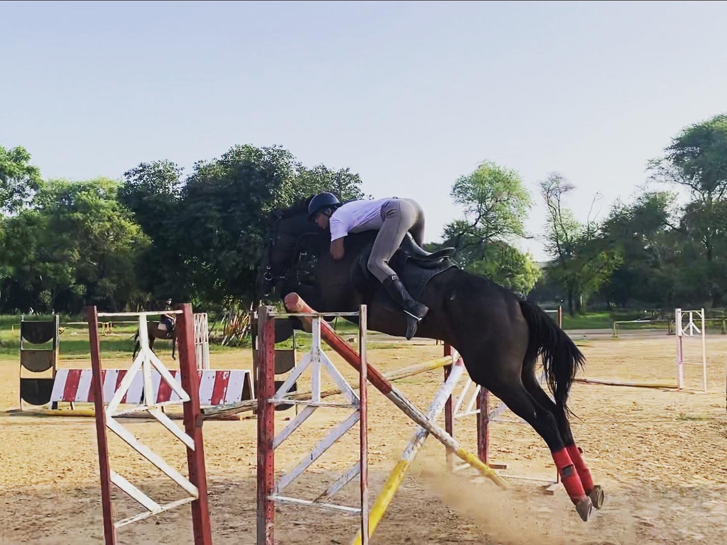 Chandigarh Horse Riders Society (CHRS) Mohali