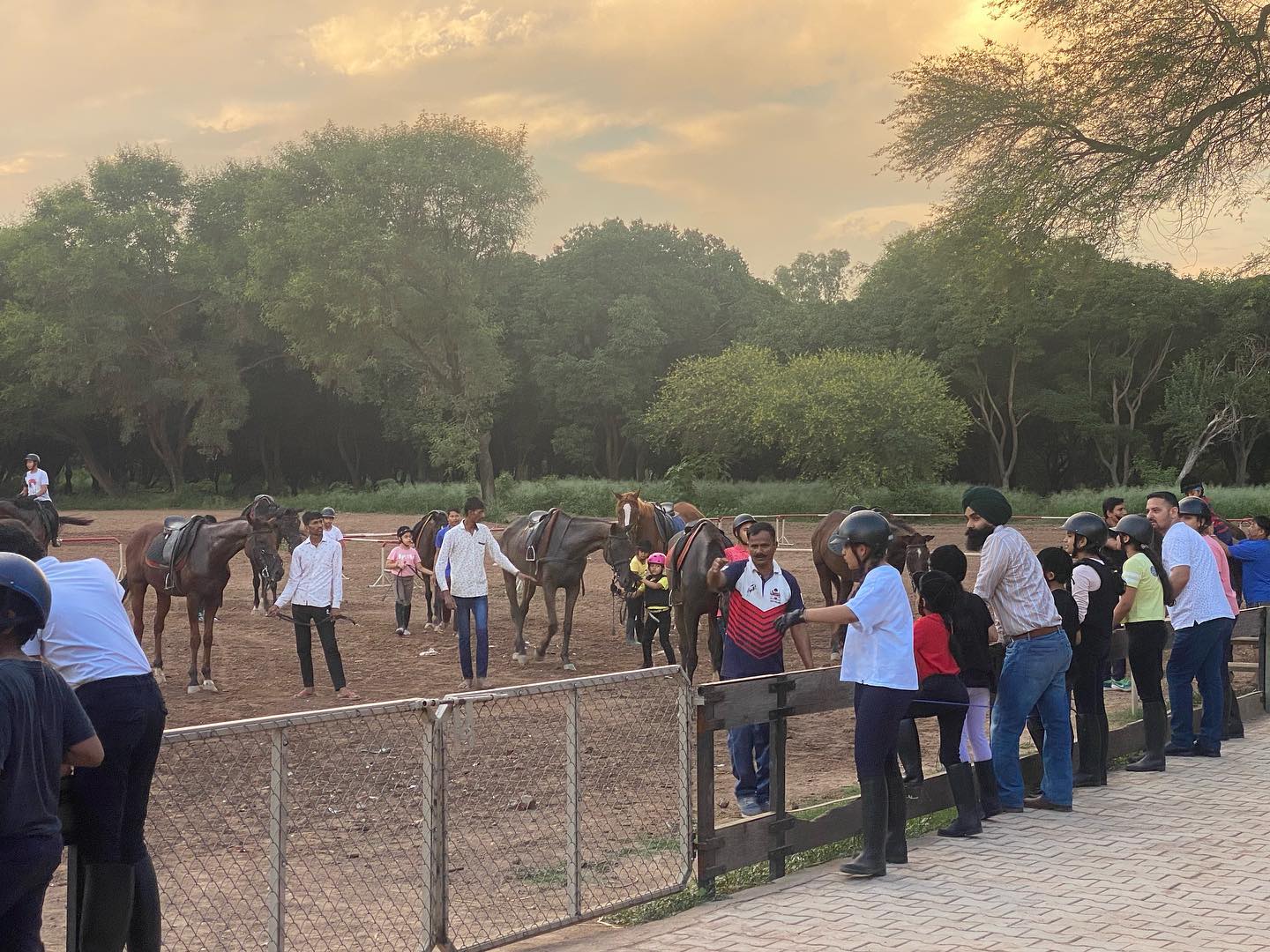Chandigarh Horse Riders Society (CHRS) Mohali