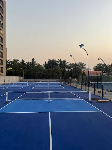 Dink Pickleball