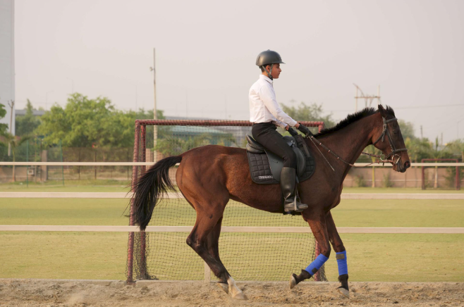 Gurukul Horse Riding Club