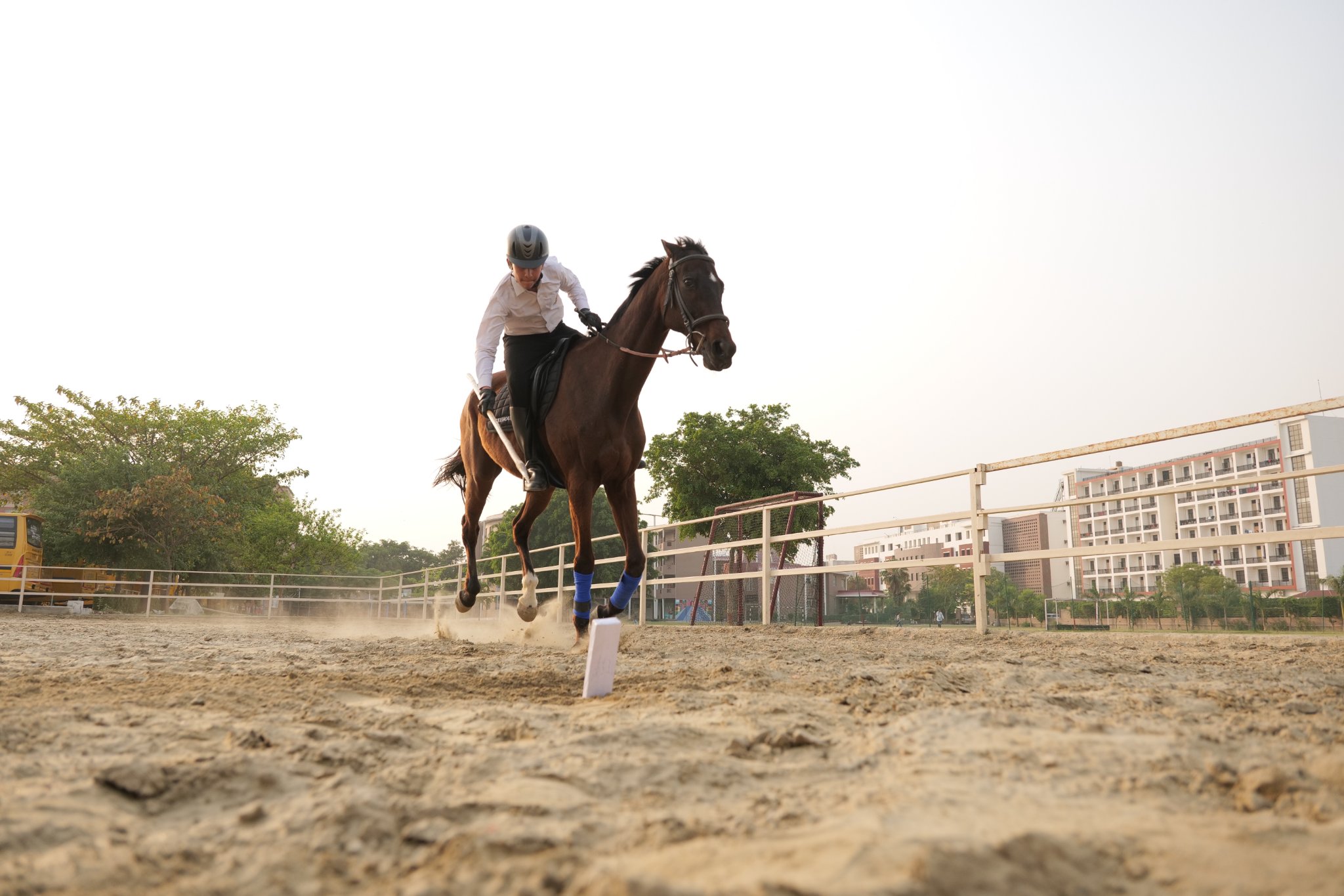 Gurukul Horse Riding Club
