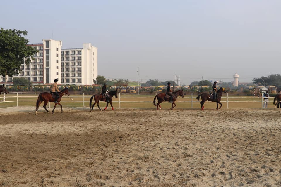 Gurukul Horse Riding Club