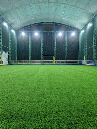 Green Box Turf Hukma Khedi
