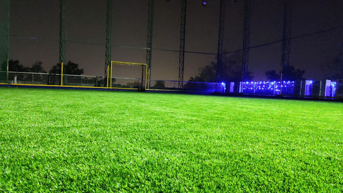Green Box Turf Hukma Khedi