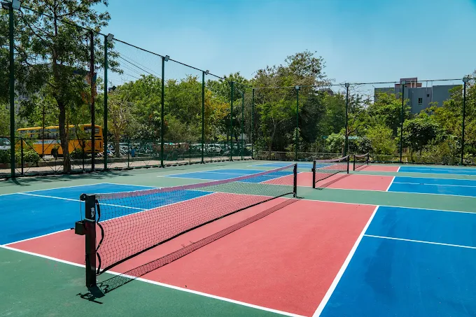 Mansarovars Pickleball