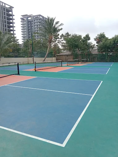 Pickball Club