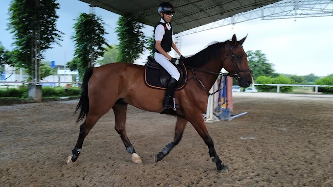 TARC Equestrian Centre