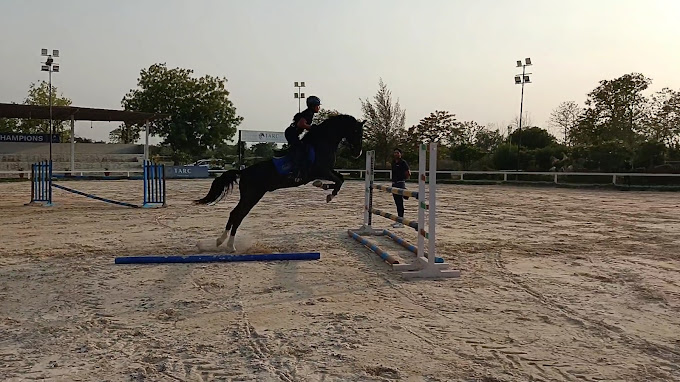 TARC Equestrian Centre