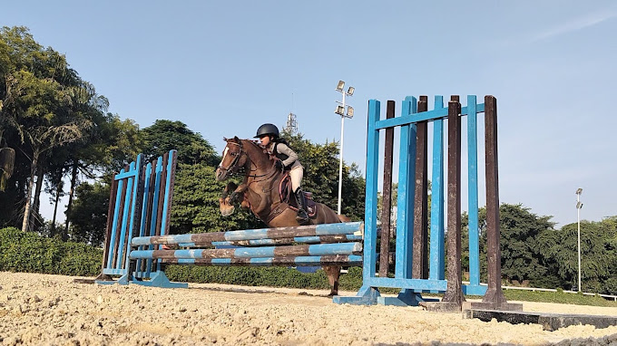 TARC Equestrian Centre