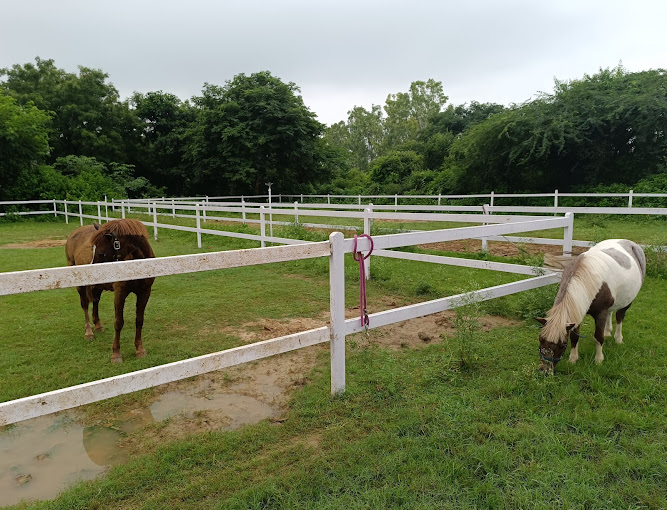 TARC Equestrian Centre
