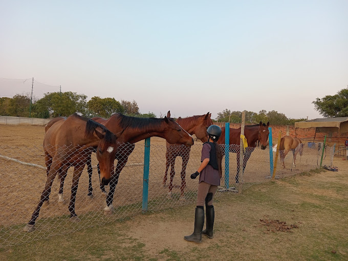 Warriors Horse Riding Academy